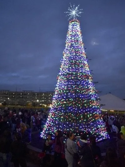 holidaytree Program Director